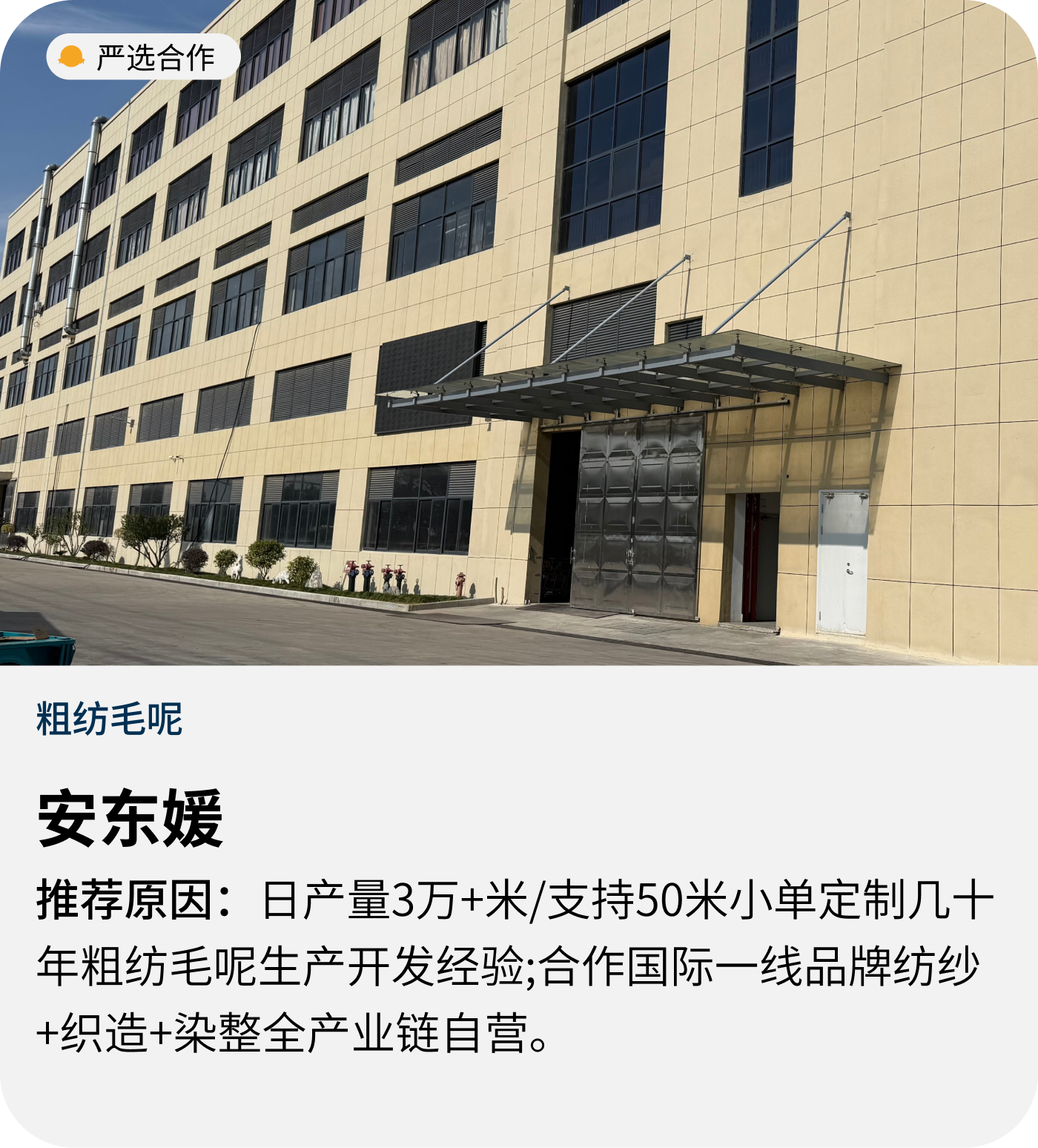 安东媛粗纺毛呢